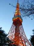 20061113Tokyotower.jpg