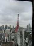 20061120TokyotowerFromMitaIntBldg.jpg