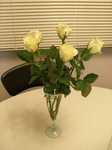 20061126AneRose.jpg