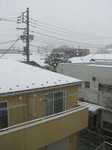 2008FebSnow.jpg