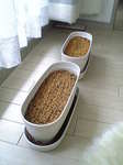 planter1.JPG